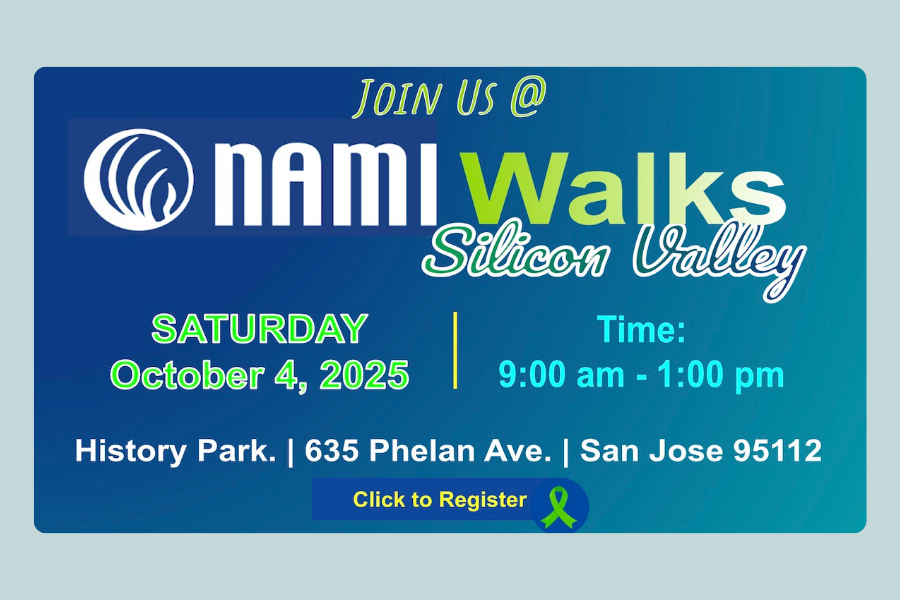 NAMIWalks, Silicon Valley